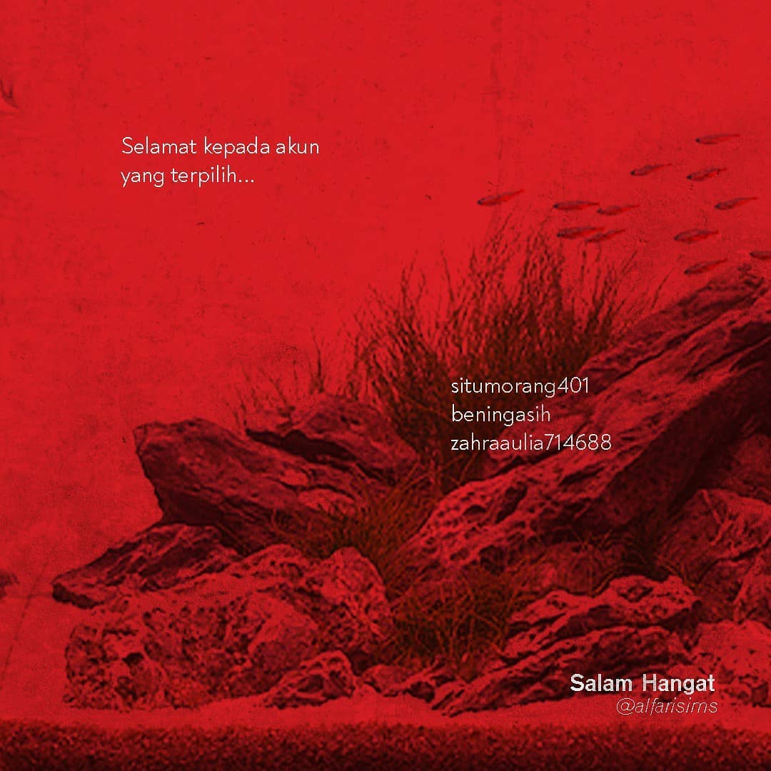 pengumuman give away buku gratis 2